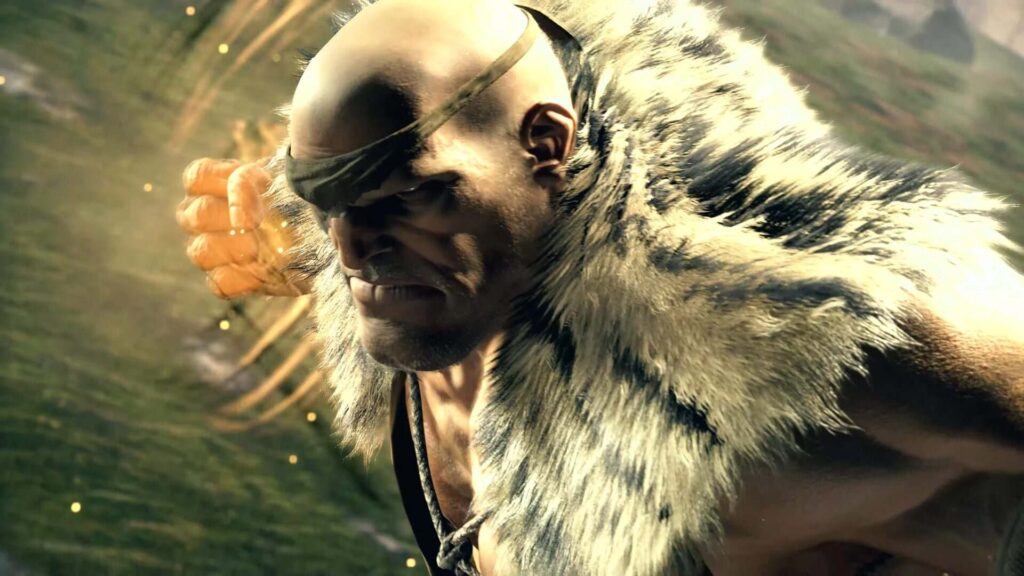 Street Fighter ราชันย์มวยไทย