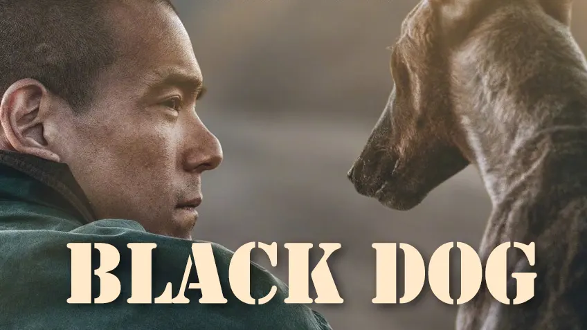 Black Dog สี่ขาหัวใจไม่ดำ