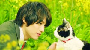 รีวิวนิยาย ผม แมว และการเดินทางของเรา